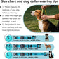 Smart GPS Dog Collar – Global Tracking with Apple Find My (No Monthly Fee)