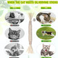Natural Silvervine (Matatabi) Cat Chew Stick Toy – Gall Fruit, Raffia & Sisal Rope Design